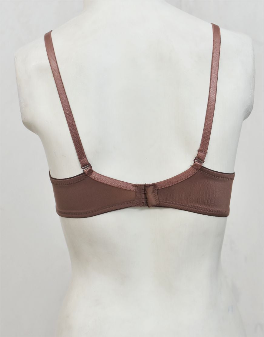 Underwired Fancy Net Bra with Soft Cup Lining