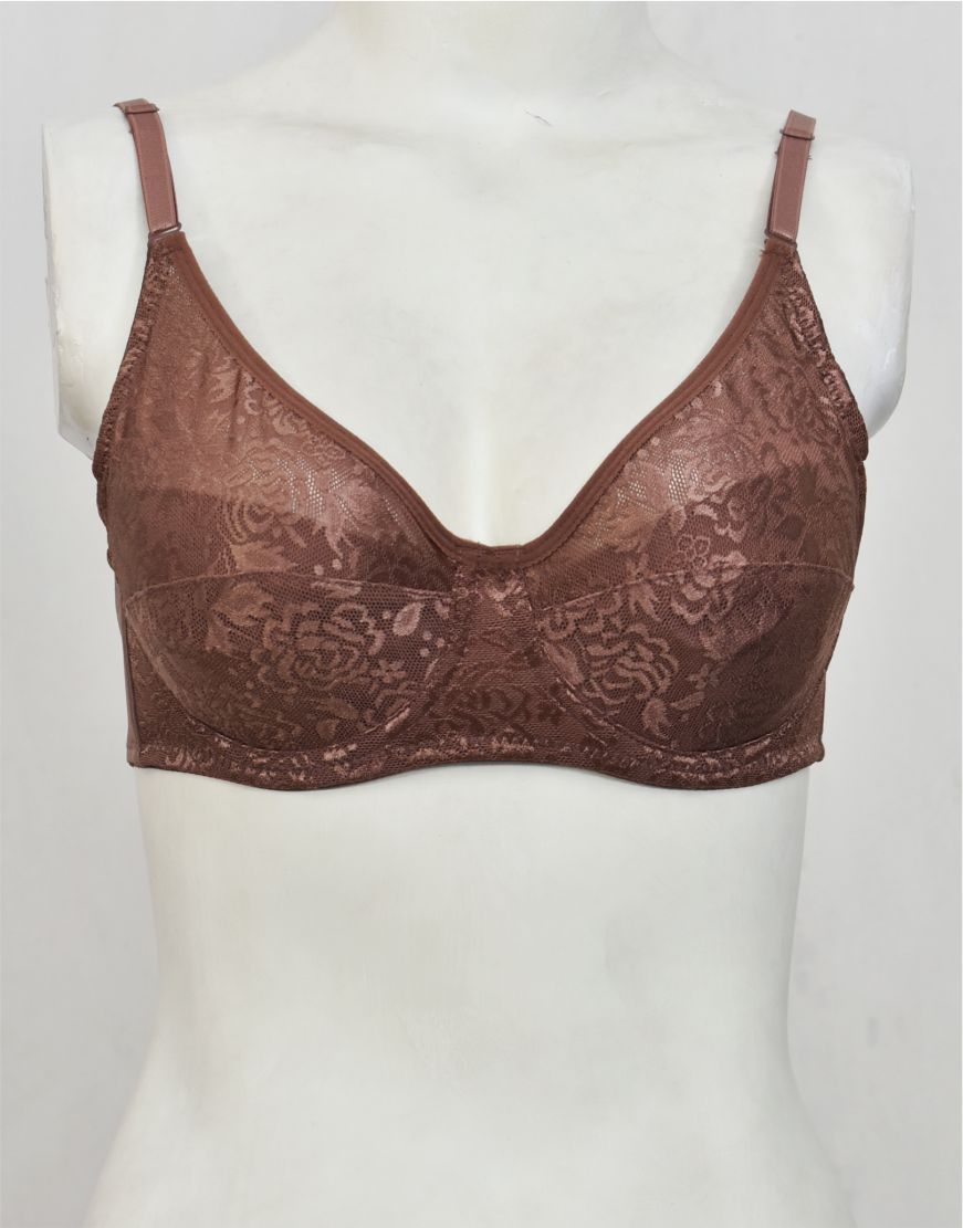 Underwired Fancy Net Bra with Soft Cup Lining