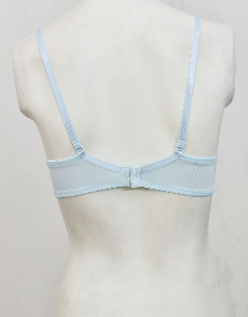 Underwired Fancy Net Bra with Soft Cup Lining