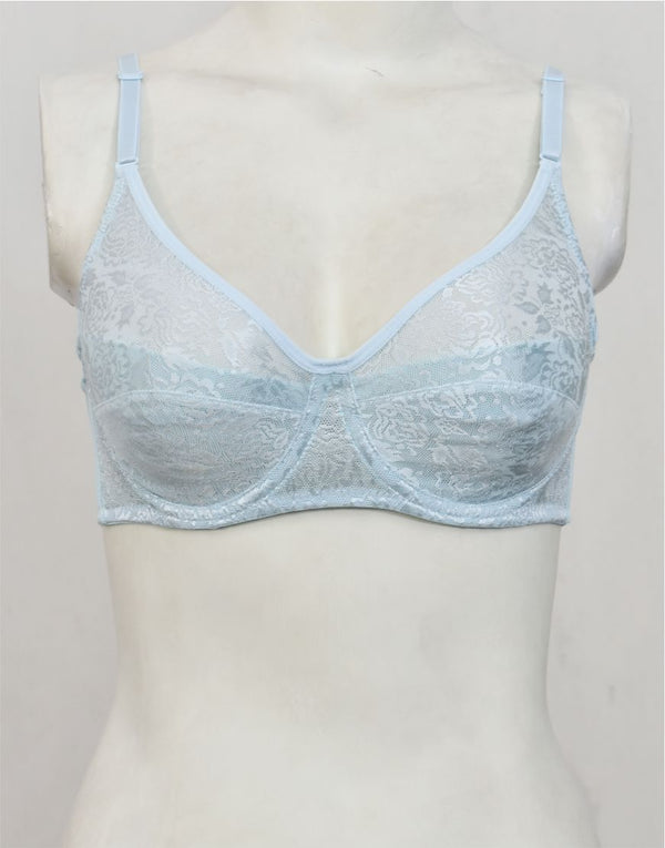 Underwired Fancy Net Bra with Soft Cup Lining