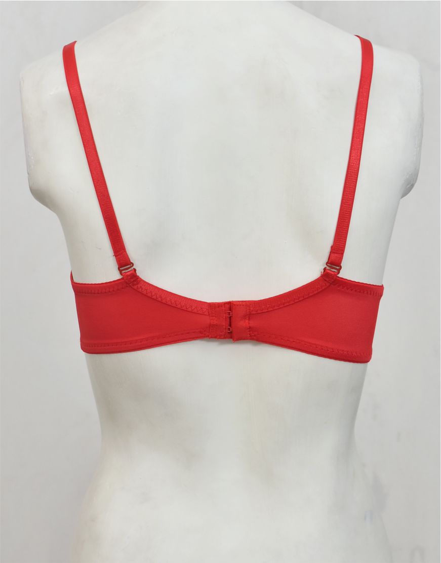 Underwired Fancy Net Bra with Soft Cup Lining