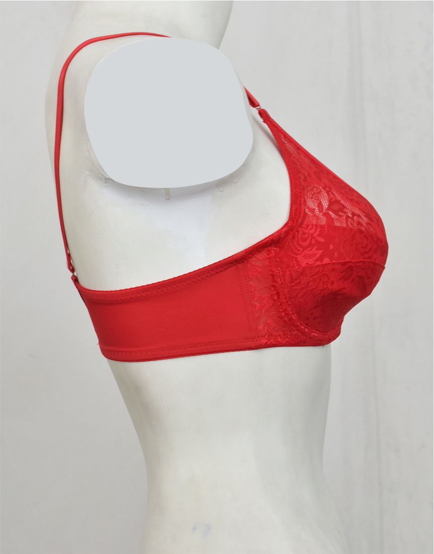 Underwired Fancy Net Bra with Soft Cup Lining