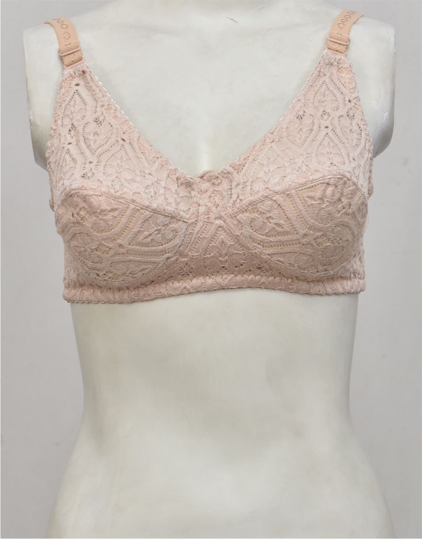 Ghazal Embroidered Net Bra with Soft Cup Lining