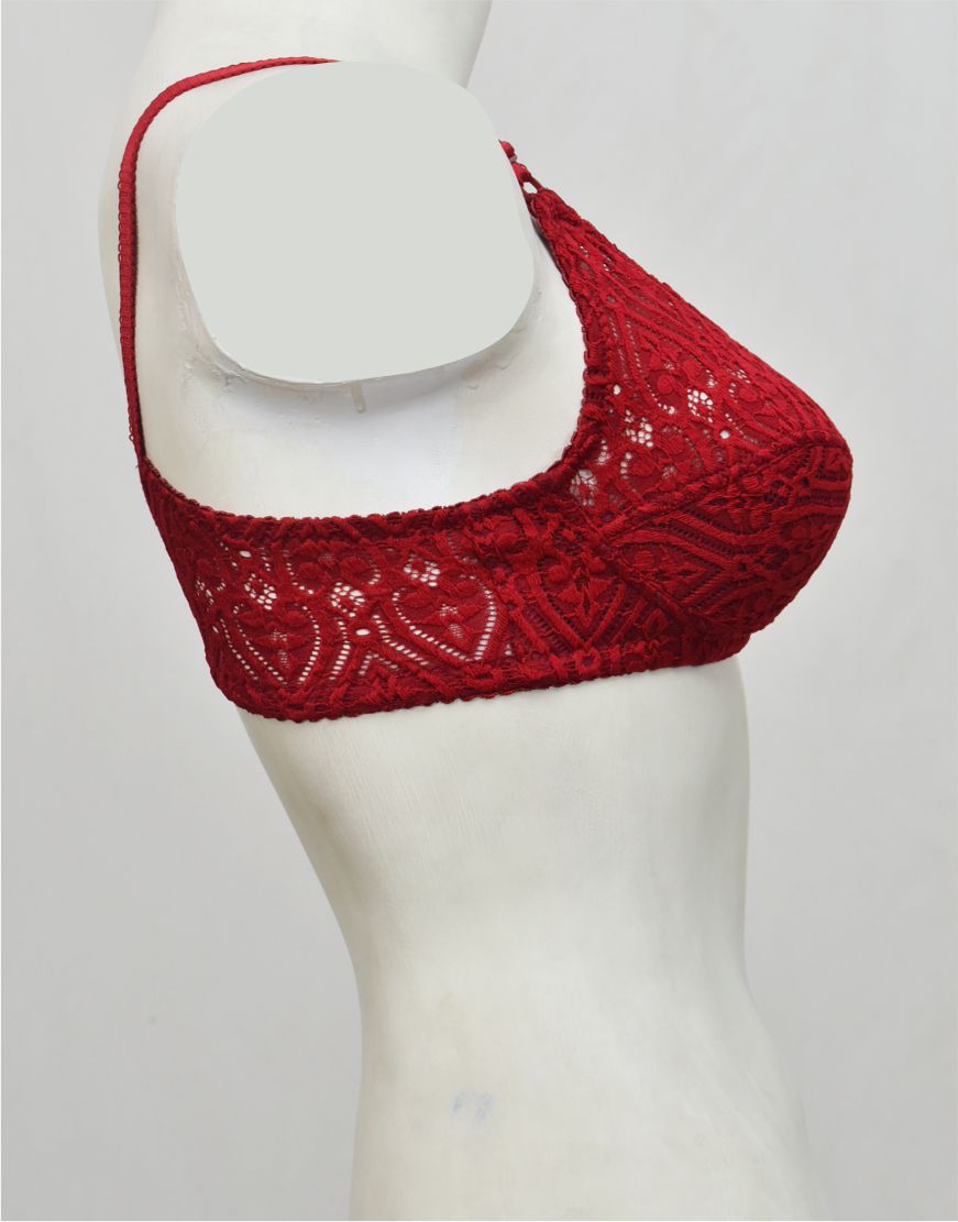Ghazal Embroidered Net Bra with Soft Cup Lining