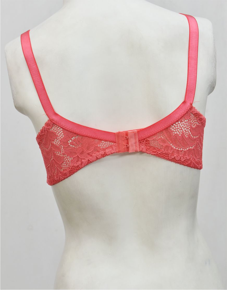 Ghazal Embroidered Net Bra with Soft Cup Lining