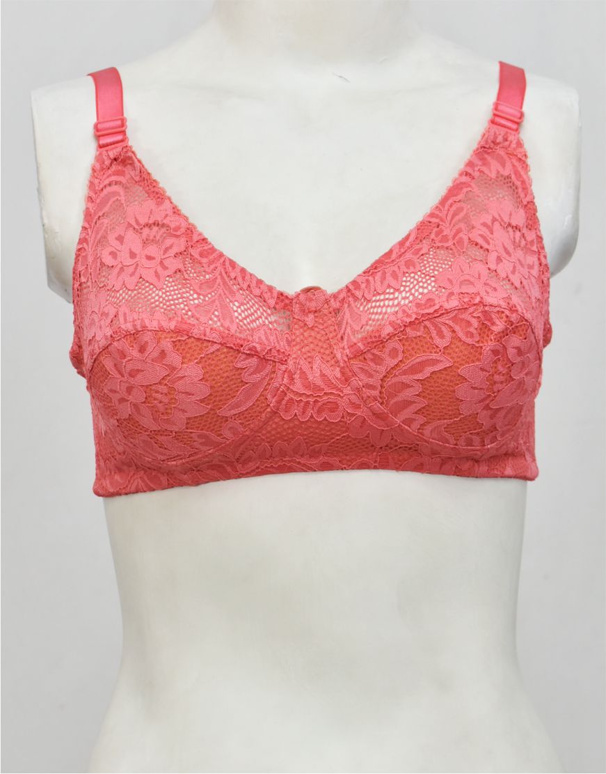 Ghazal Embroidered Net Bra with Soft Cup Lining