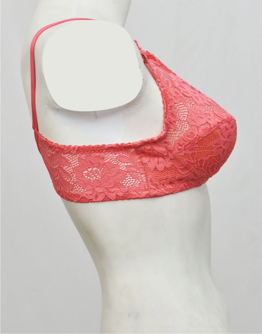 Ghazal Embroidered Net Bra with Soft Cup Lining