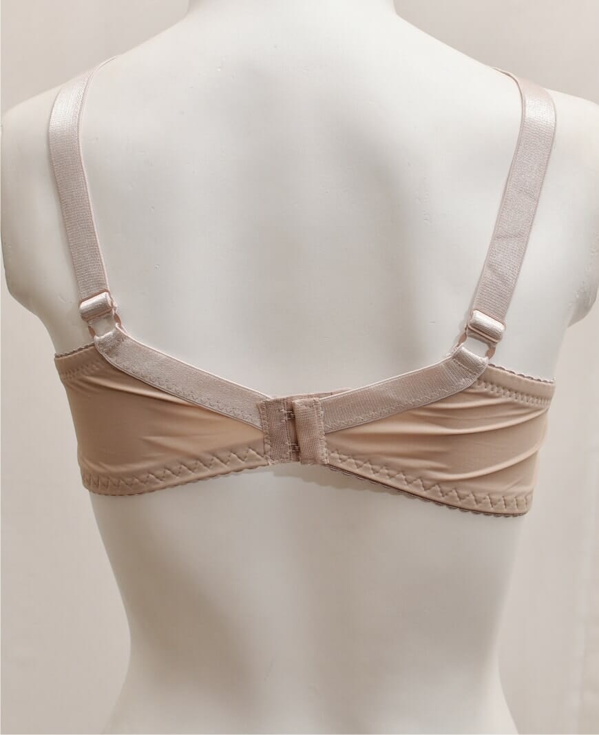 Net and Lace Embroidered Fancy Bra