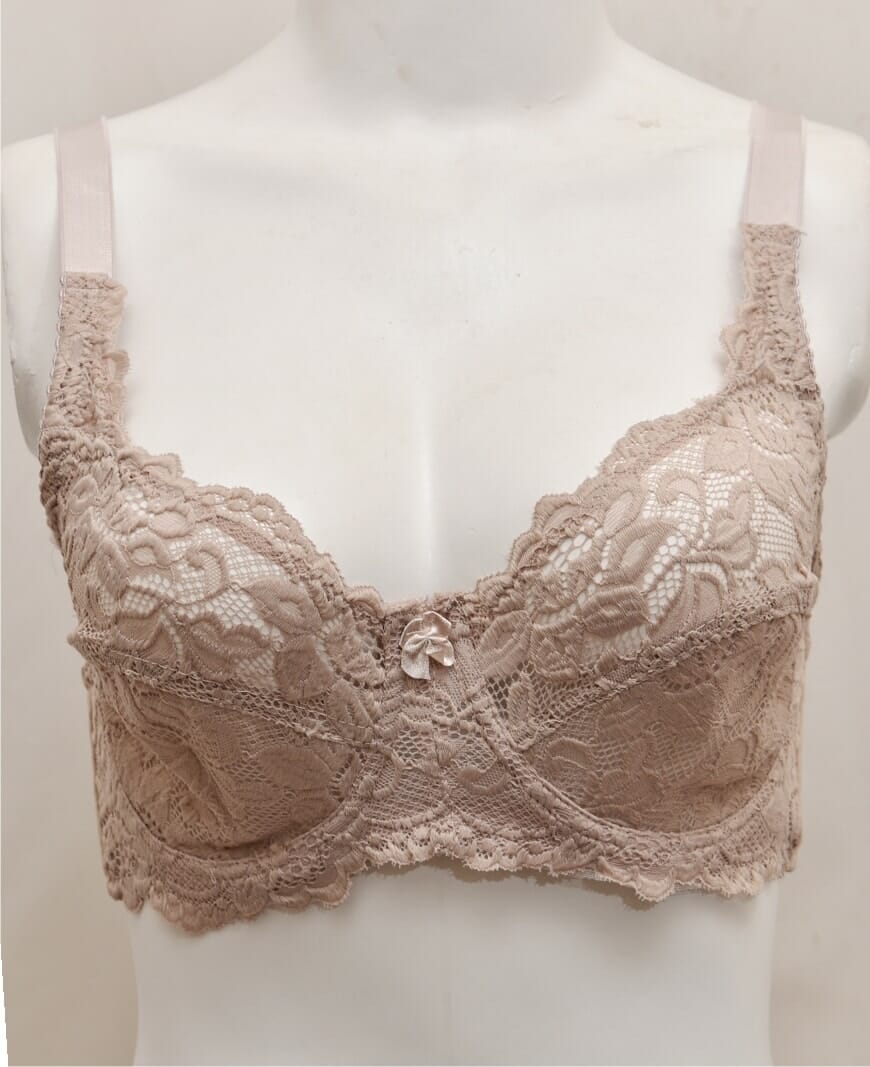 Net and Lace Embroidered Fancy Bra
