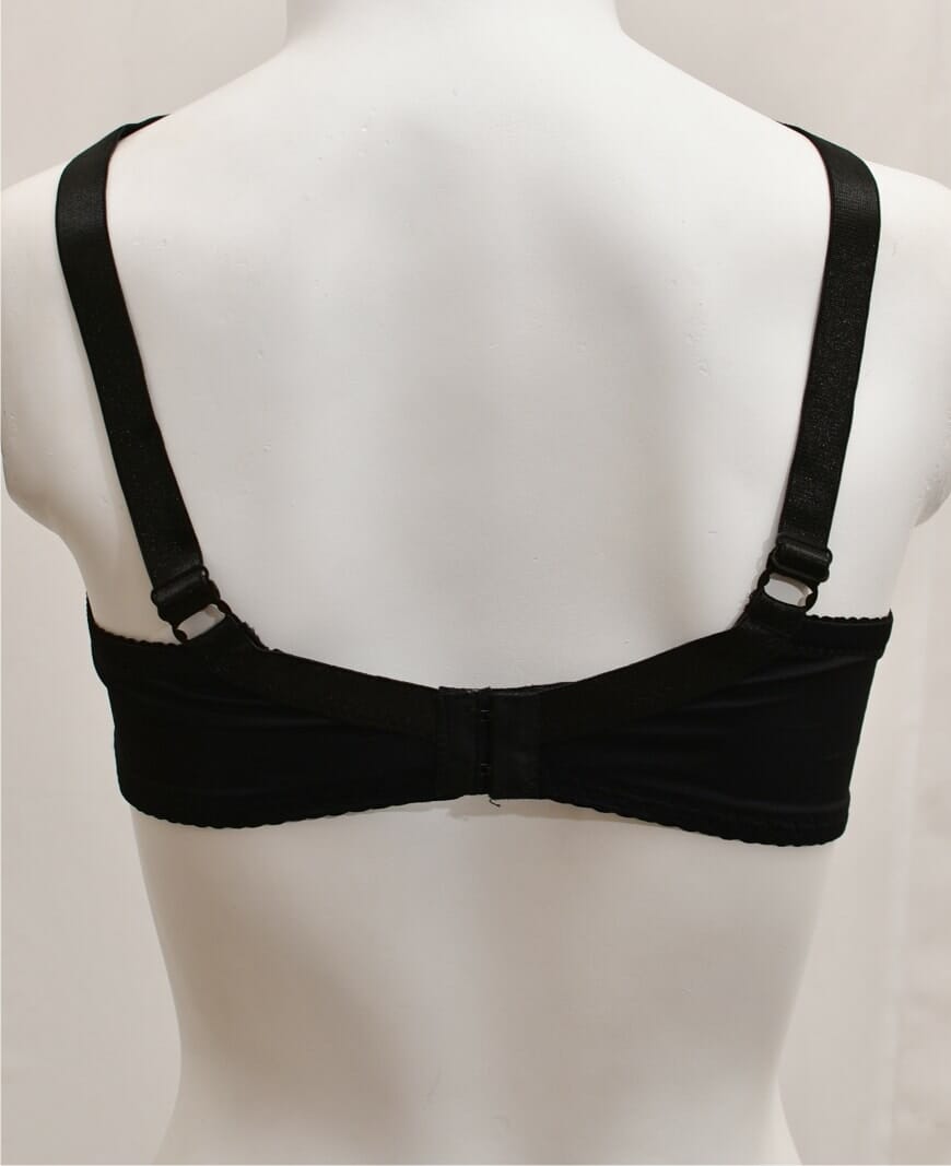Net and Lace Embroidered Fancy Bra