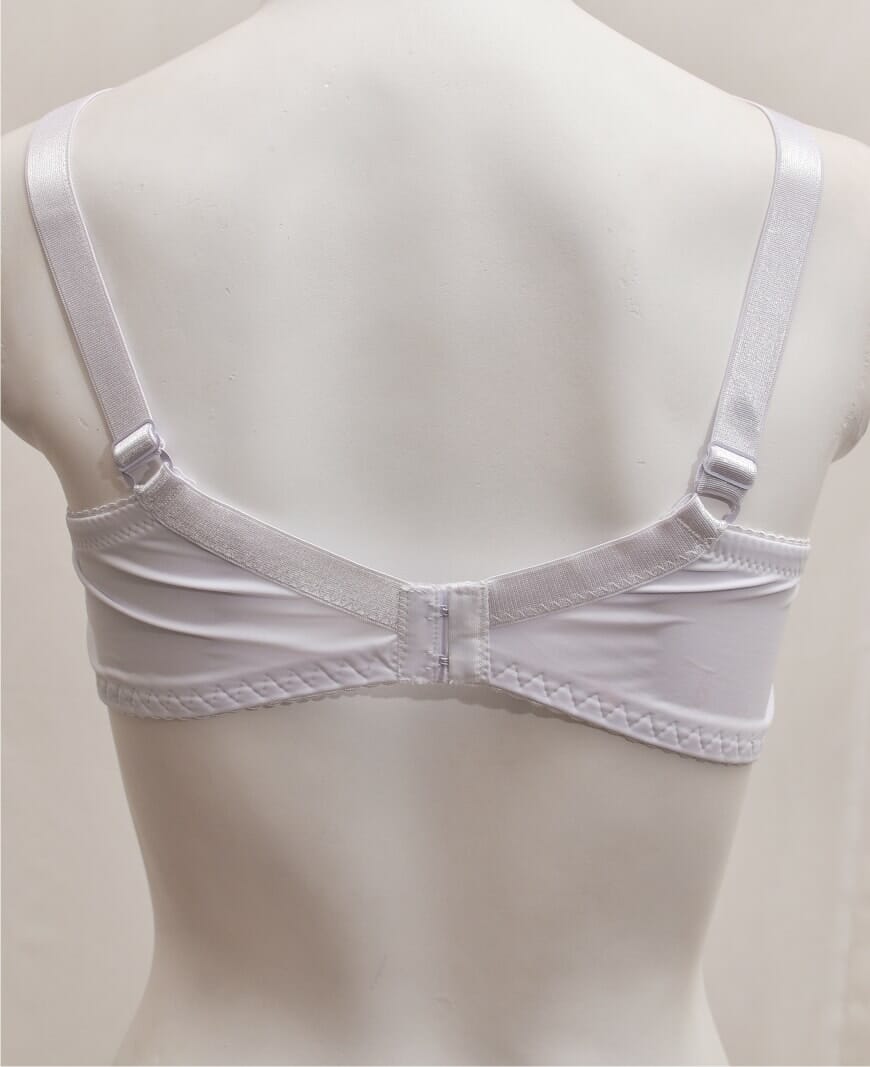 Net and Lace Embroidered Fancy Bra