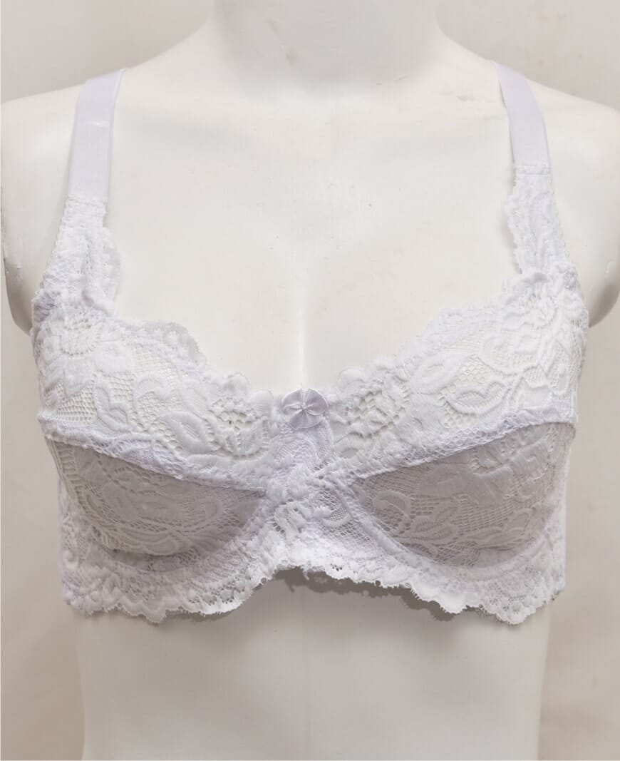 Net and Lace Embroidered Fancy Bra