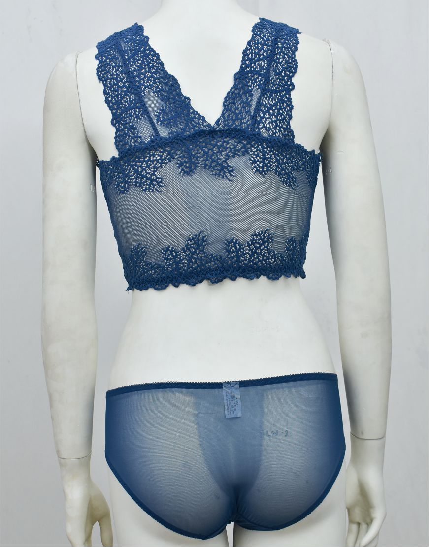 Stylish Crop Top Blouse-Bra & Panty See-through Set