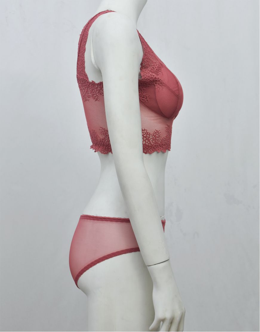 Stylish Crop Top Blouse-Bra & Panty See-through Set